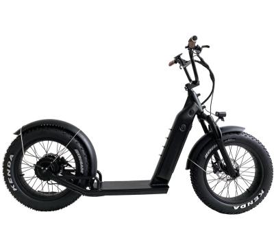 China New style 48v 500w unisex fat tire aluminum alloy scooter electric bicycle with basket front and rear bicycle for sale