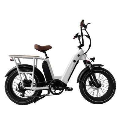 China 20 Inch 500W City Cargo Electric Bicycle Aluminum Alloy 2 Batteries 90km Range 48V 15Ah 7 Speed ​​Electric Bike Retro for sale