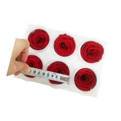 China Contact Wholesale Natural Preserved Fresh Flowers Last Forever Rose Preserved Roses For Sale for sale