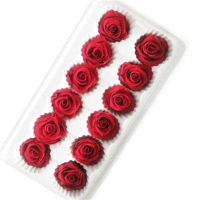 China Natural Touch Original Dried Rose Rose Bud Resin Preserved Flowers For Jewelry for sale