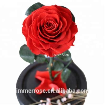 China Glass Natural Touch Handmade Rose Rose Forever In Glass Tubes With Wooden Base China Wholesale for sale