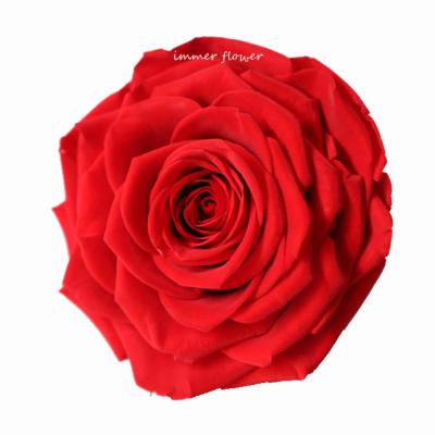 China Natural Touch Preserved Rose Flower 9-10 cm Rose Bud As Ladys Gift Items for sale