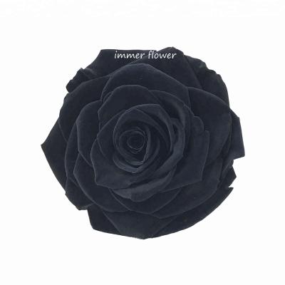 China Natural Touch Black Rose Flower Forever Rose Factory Supply Directly for sale