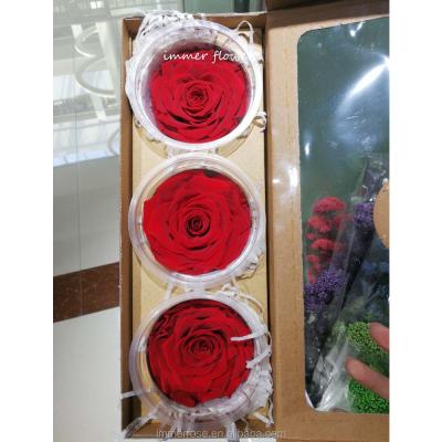 China 7 To 8 Touch Long Lasting Natural Roses Never Withered Rose Permanent Flowers On Sale for sale