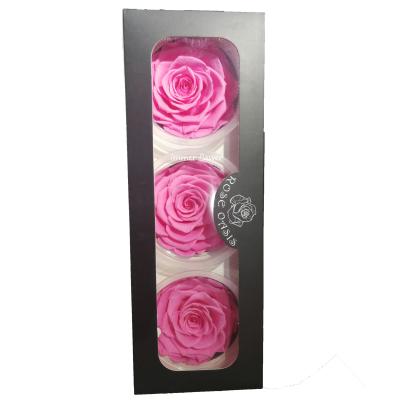 China Natural Touch Factory Price 7-8cm Huge Rose As Beauty And The Beast Rose In Glass Forever Rose Flower for sale