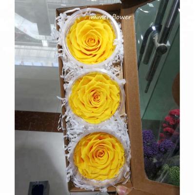 China Beautiful preserved touch natural rose 8cm to marry for sale