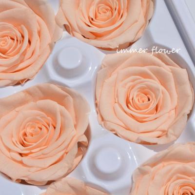 China Natural Touch Best Selling Mounted Fresh Flower Preserved Machine Preserved Flower for sale