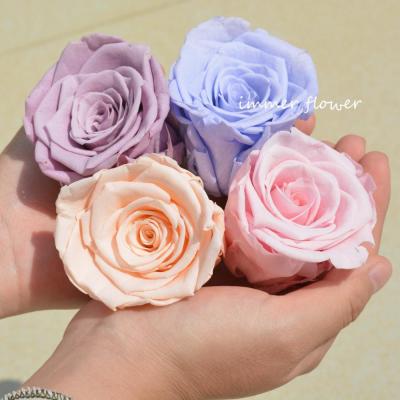 China Wholesale Colorful Preserved Natural Touch Artificial Flowers Rose For Home Decoration for sale