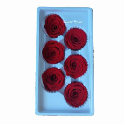 China Natural touch glycerin roughly preserved flowers prervered rose 4-5 cm for sale