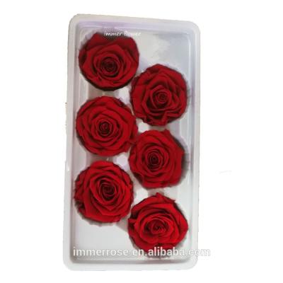 China Wholesale Contact Natural Preserved Rose Everlasting Flower From Factory for sale