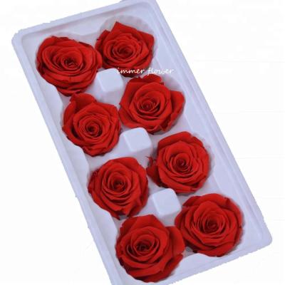 China True Touch Natural Luxury Touch Preserved Flower Forever Preserved Roses Holland for sale