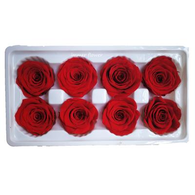 China Natural Touch Soft A Grade Immortal Preserved Roses 4-5 Cm Forever Preserved Rose for sale