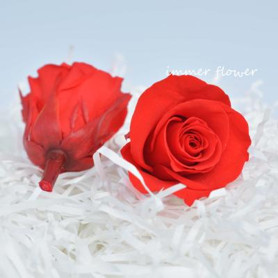 China Wholesale High Quality Natural Touch Real Durable Roses Preserved Eternal Flowers For Wedding Decoration for sale