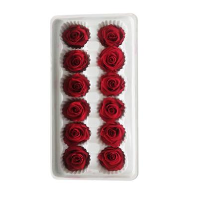 China Natural Touch Scientific Names Of Flower Long Life Roses Preserved Roses Shed for sale