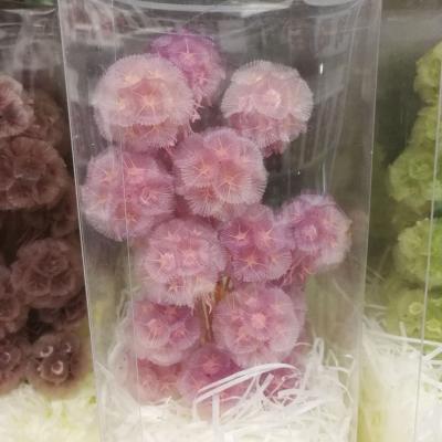 China Natural touch preserved flower pine worm make flower windmill fruit bouquet DIY dry materials for sale