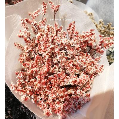 China Wholesale Cheap Natural Touch Preserved Flower Crystal Grass Bouquet Dry Flower for sale