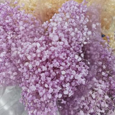 China Natural Touch Preserved Beautiful Baby's Breath Flower Fancy Star Flower Small for sale