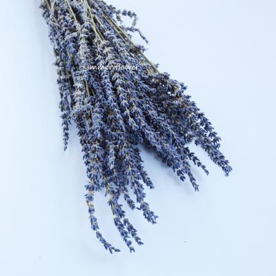 China Wholesale Dry Unpreserved Natural Touch Lavender Flower for sale