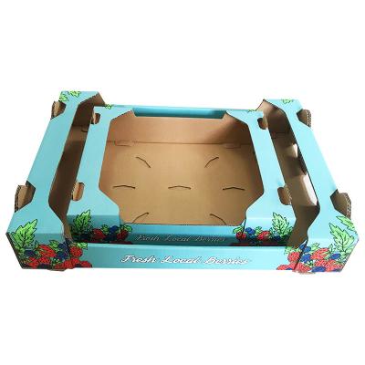 China Tomato Custom Dimension Fruit Carton Box Pear Apple Packing Corrugated Carton for sale