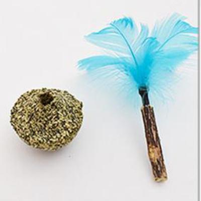 China Environmentally Sustainable Funny Feather Pet Cat Toys Cat Riddle for sale