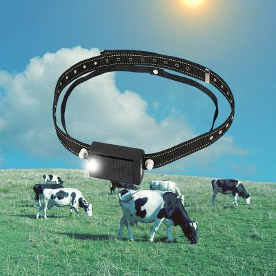 China GPS Real Time Tracking Full Netcom GPS Smart 2g Large Capacity Solar Waterproof Electronic Tracker For Animal Horses Cattle Sheep for sale