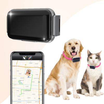 China Voice Control Mini Recording GT56 Real Time Location Accurate Positioning Smart Dog Gps Tracker For Pets Gps Pet Tracking Device for sale