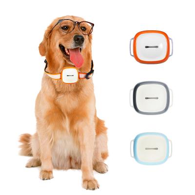 China Cheap High Quality Historical Pet Gps Tracker Light Vibration Alarm Pet Gps or Child Gps Tracking Device for Dogs and Cats for sale