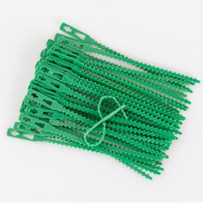 China Made of PE Factory Directly Various Good Colors Eco Friendly Fish Bone Selling Shaped Cable Ties for sale