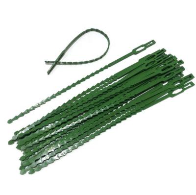 China Damping Wires Gardening Tying Wire Plastic Herringbone Tying Tape Green 100 Plants Tying Wire Artifact for sale