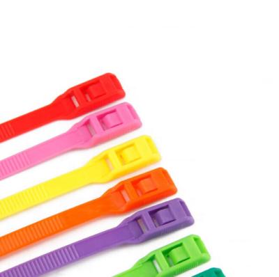 China Eco - Friendly Removable Nylon Tie Buckle Disassemble And Recycle Strong Color Plastic Fastener Clip for sale