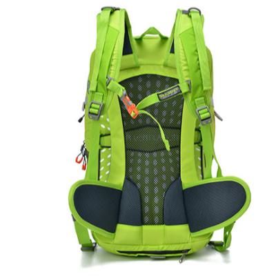 China Factory Direct Sales Waterproof Cost-effective Anti-Cutting Durable Camping Backpack With Honeycomb Back System for sale