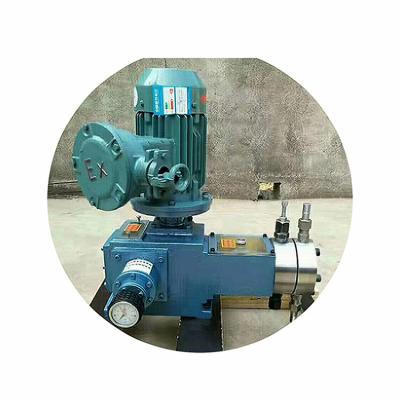 China Other Factory Direct Sale Buildings Commercial Dosing Pump for sale