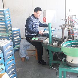 Verified China supplier - Cixi Xinlong Spark Plug Co., Ltd.