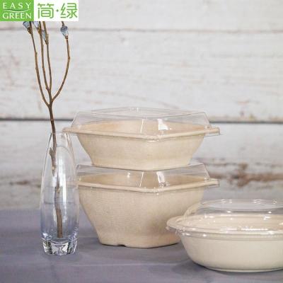 China Disposable Easy Green Compostable Sugar Cane Pulp 100% Biodegradable / BIO Food Container Packaging for sale