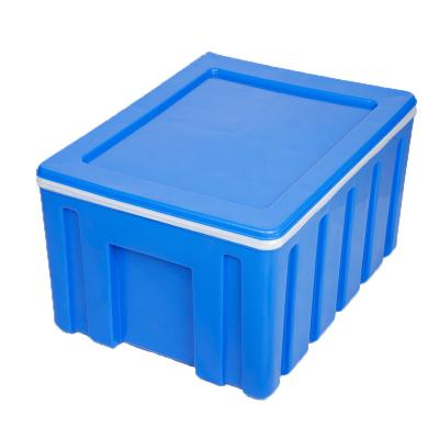 China High quality waterproof insulation and refrigeration car take-out box 60L other camping and hiking products for sale