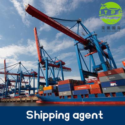 China Dropshipping freight forwarders china iquique warehouse logistics services ddp/ddu rental forwarder shipping ITPC for sale