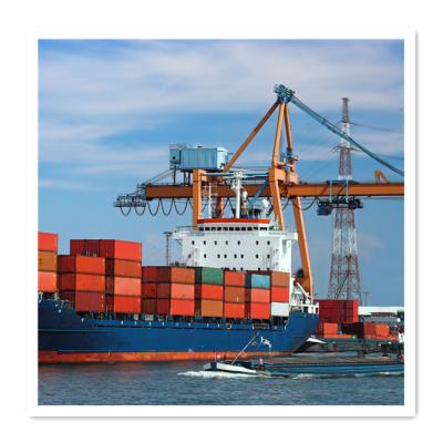 China Shipping Tianjin Sea Freight Forwarder To Guadeloupe Door To Door Fob / CIF / exw Logistic Shipping ITPC Freight Forwarding Company for sale