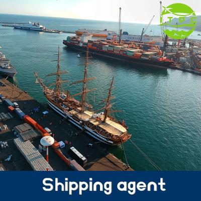 China Shanghai China Ship And Truck Delivery To New York Warehouse Dropshipping Freight Forwarder Local Logistic Shipping ITPC for sale