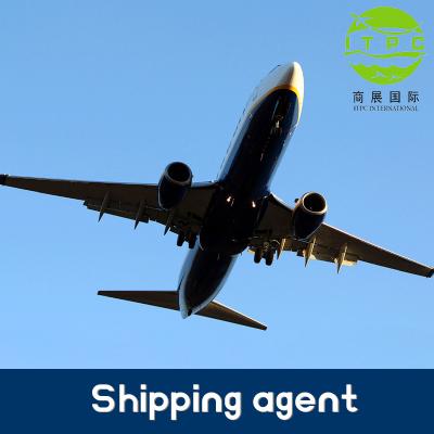 China Top 10 fast shipping to singapore agent china freight forwarder door to door ITPC logistics shipping agent for sale