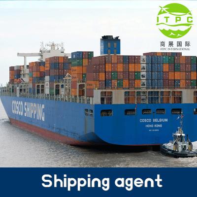 China usa warehouse freight company agent china freight forwarder logistic china to usa sea cargo door to door dropshipping ITPC for sale