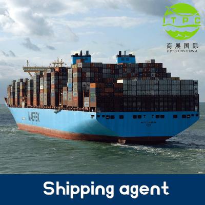 China china freight forwarding sea cargo logistics container to Canada ddp/ddu Logistics Shipping Freight Forwarding Company ITPC for sale