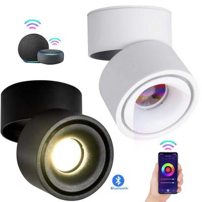 China Modern COB Led Round Dimmable Spotlight 7W 12W 110V RGB WiFi Downlight AC85-260V RGB Track 360 Degree Rotatable Smart Ceiling Lamp for sale