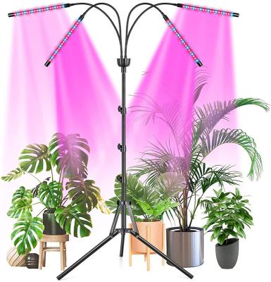 China Seed Starting Adjustable Tripod LED Grow Light 2/3/4 Head Dimming Floor Indoor LED Grow Light For Indoor Plants for sale