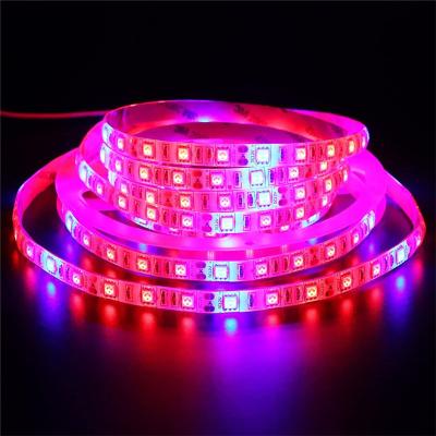 China Seed Starting 5M LED Plant Grow Light SMD 5050 Hydroponic Systems Grow Led Bar Light Flowers And Plant Waterproof DC 12V Led Grow Strip Light for sale