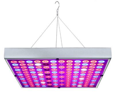 China Seed Starting Smd2835 25w 45w Full Spectrum Plant Fill Light OEM ODM 252x252x29.5cm Led Grow Light Panel Square Indoor Plant Growth Lamp for sale