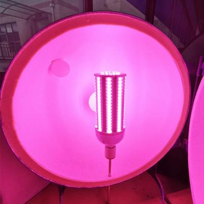 China Seed Starting IP65 Led BOD Lamp Corn Light Bulbs SMD Corn Lamps Full Spectrum 50w Plant Growing Lights High Brightness Light Greenhouse for sale