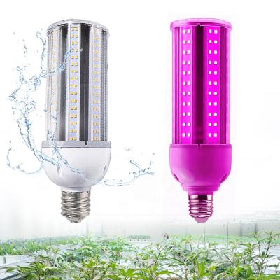 China Seed Starting 360 Degree Led Full Spectrum Corn Bulb Cob 50W Waterproof 80W 100W 150W Led Plant Growing Light For Flower And Vegetable for sale