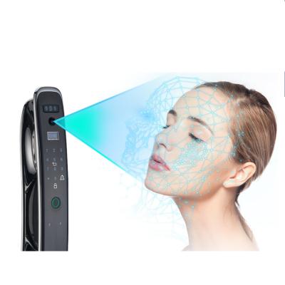 China New Face Recognition Digital Door Lock Waterproof/Waterproof Keypad Face Recognition Smart Door Lock for sale