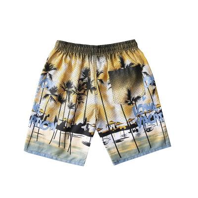 China Anti-wrinkle spring and summer new quick-drying shorts loose pants plus size swimming beach shorts for sale