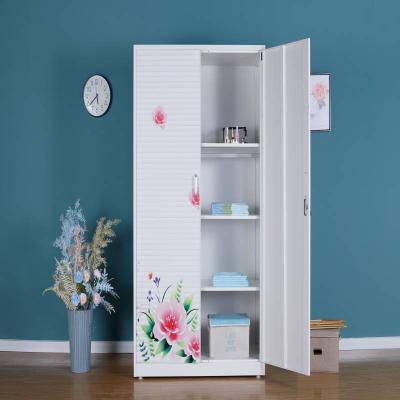 China Storage Sanjian KD Printing Home Customized Image Clothes Storage Cabinet 2 Swing Door Steel Metal Transfer Printing Wardrobe for sale